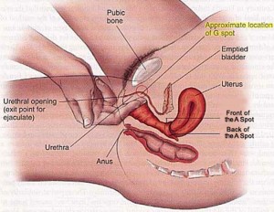 G Spot Location